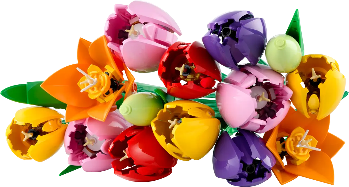 LEGO Botanicals - Bouquet di tulipani 11501 