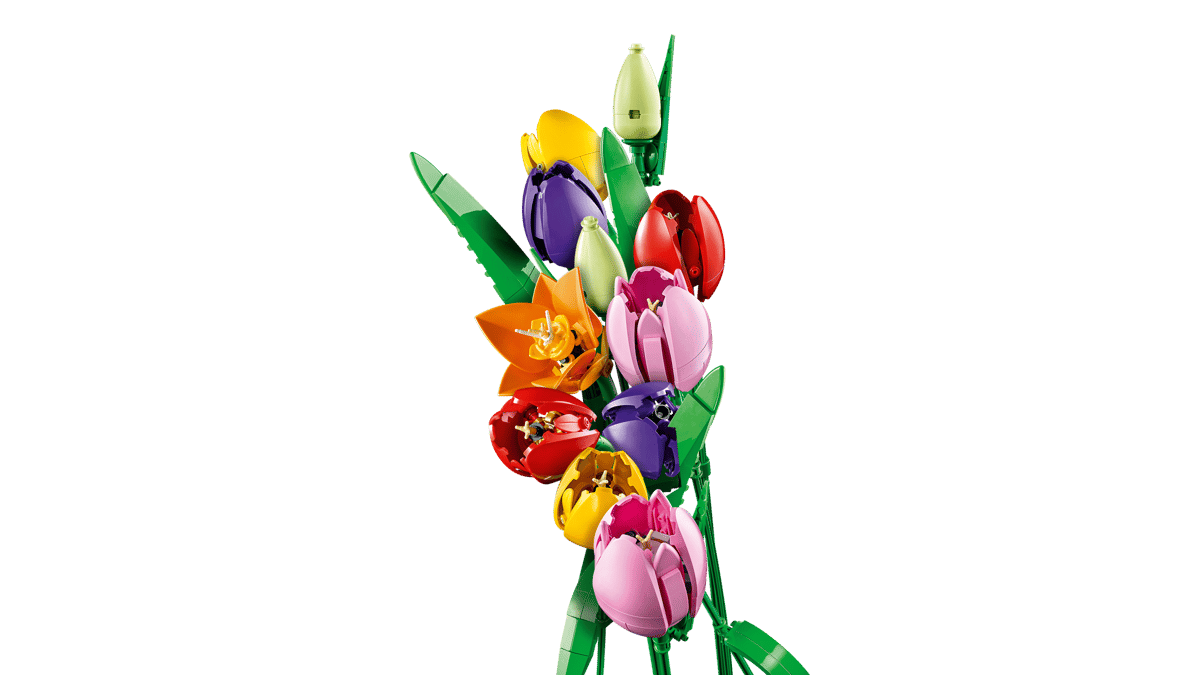 LEGO Botanicals - Bouquet di tulipani 11501 
