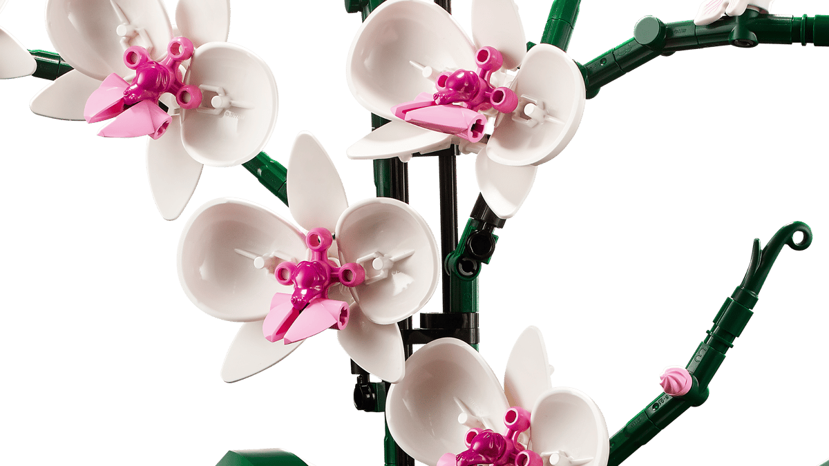 LEGO Botanicals - Orchidea 10311 